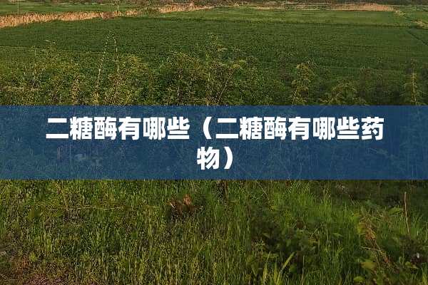 二糖酶有哪些（二糖酶有哪些药物）