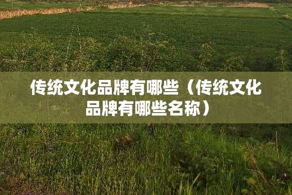 传统文化品牌有哪些（传统文化品牌有哪些名称）