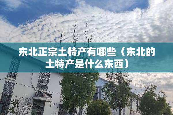 东北正宗土特产有哪些（东北的土特产是什么东西）