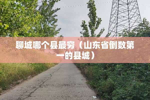 聊城哪个县最穷（山东省倒数第一的县城）