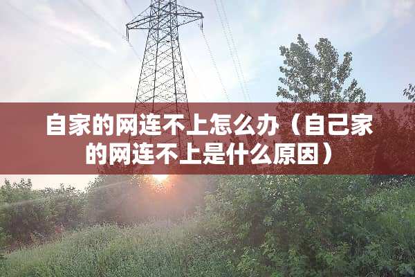 自家的网连不上怎么办（自己家的网连不上是什么原因）