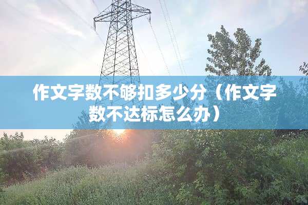 作文字数不够扣多少分（作文字数不达标怎么办）
