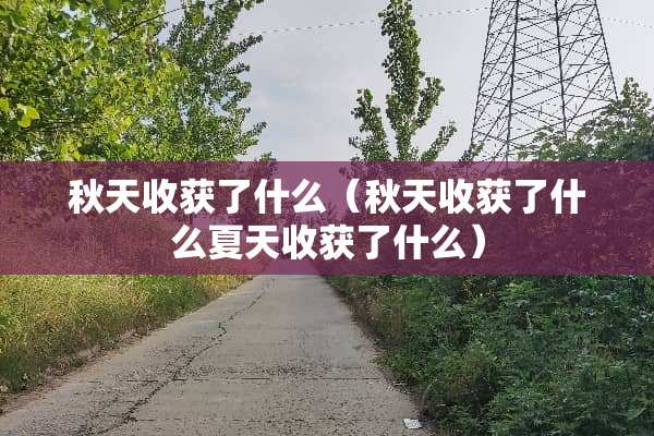 秋天收获了什么（秋天收获了什么夏天收获了什么）