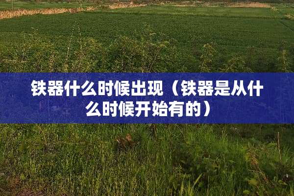 铁器什么时候出现（铁器是从什么时候开始有的）