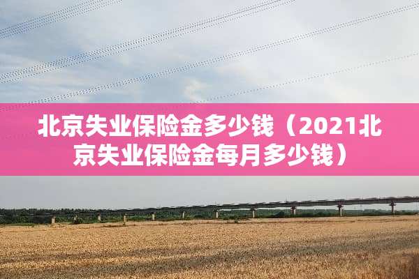 北京失业保险金多少钱（2021北京失业保险金每月多少钱）