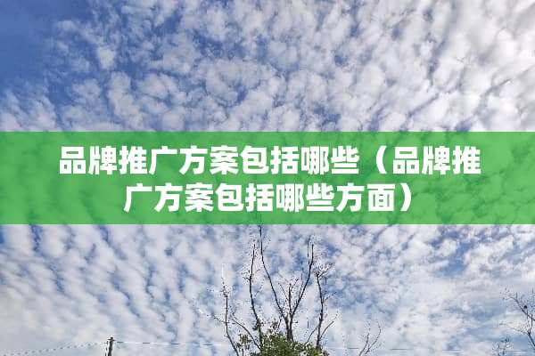 品牌推广方案包括哪些（品牌推广方案包括哪些方面）