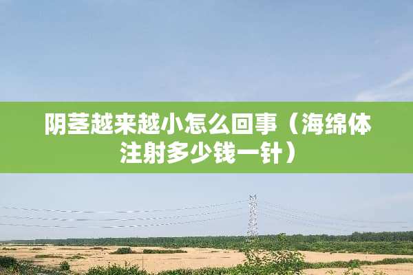 *茎越来越小怎么回事（海绵体注射多少钱一针）