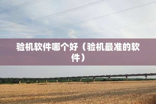验机软件哪个好（验机最准的软件）