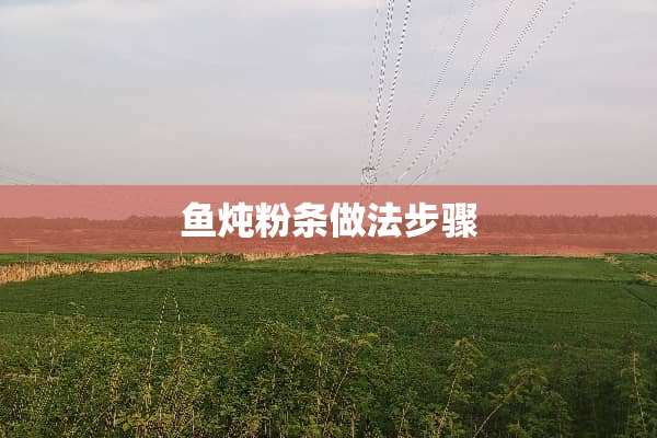 鱼炖粉条做法步骤