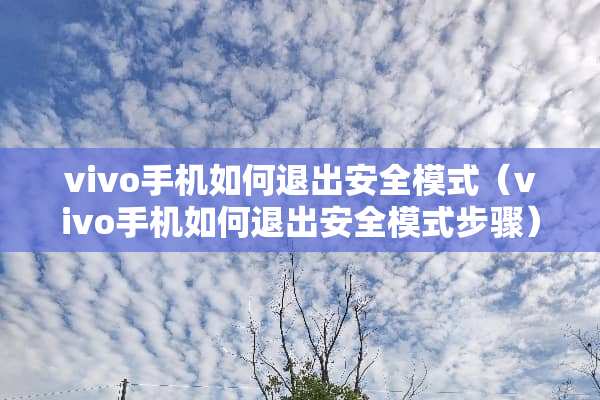 vivo手机如何退出安全模式（vivo手机如何退出安全模式步骤）