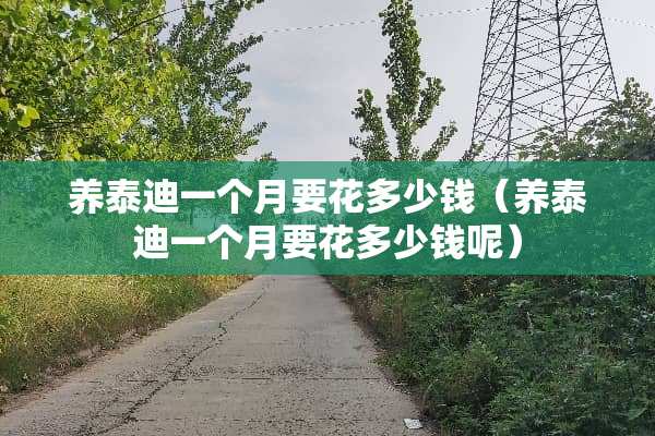 养泰迪一个月要花多少钱（养泰迪一个月要花多少钱呢）