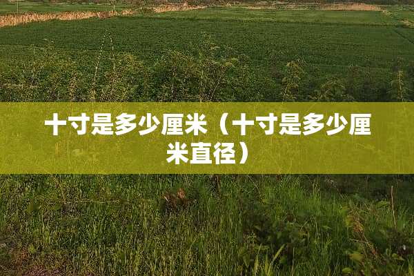 十寸是多少厘米（十寸是多少厘米直径）
