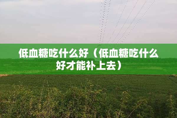 低血糖吃什么好（低血糖吃什么好才能补上去）