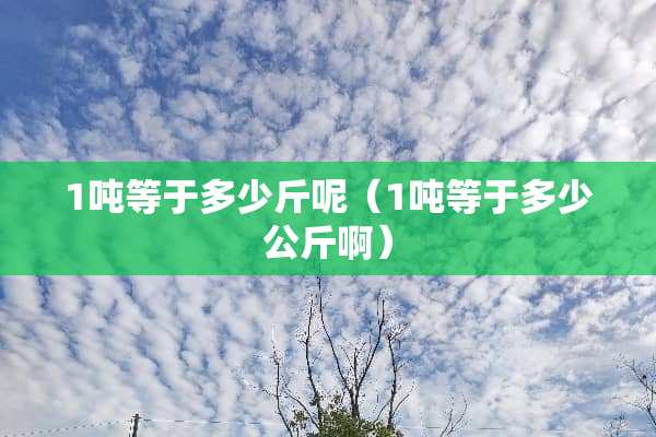 1吨等于多少斤呢（1吨等于多少公斤啊）