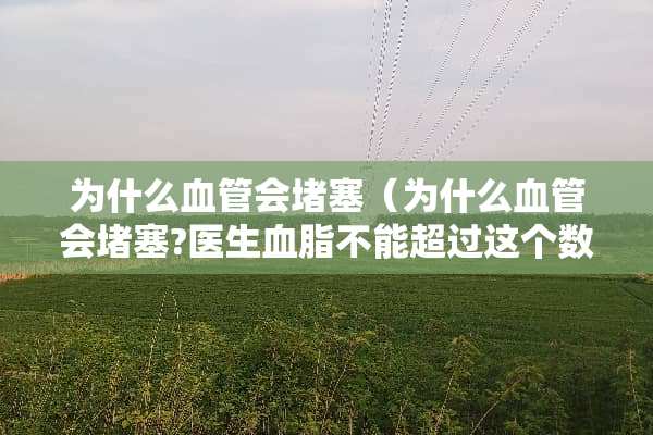 为什么血管会堵塞（为什么血管会堵塞?医生血脂不能超过这个数）