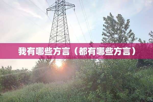 我有哪些方言（都有哪些方言）