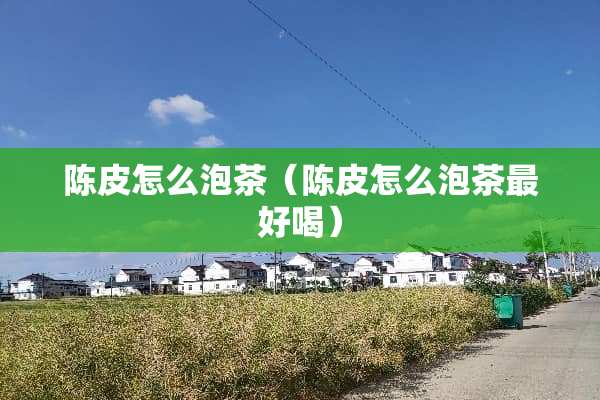 陈皮怎么泡茶（陈皮怎么泡茶最好喝）