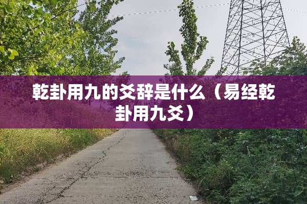 乾卦用九的爻辞是什么（易经乾卦用九爻）