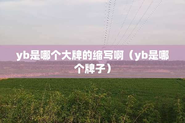 yb是哪个大牌的缩写啊（yb是哪个牌子）