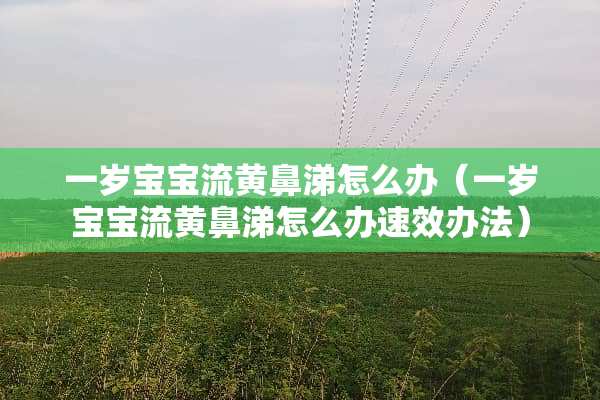 一岁宝宝流黄鼻涕怎么办（一岁宝宝流黄鼻涕怎么办速效办法）