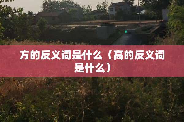 方的反义词是什么（高的反义词是什么）