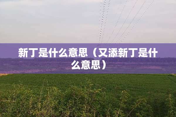 新丁是什么意思（又添新丁是什么意思）
