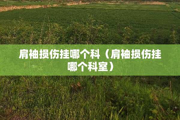 肩袖损伤挂哪个科（肩袖损伤挂哪个科室）