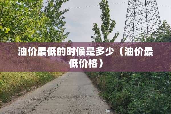 油价最低的时候是多少（油价最低价格）