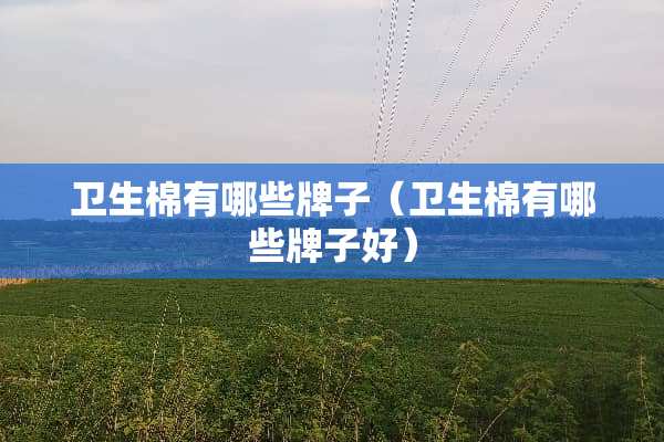 卫生棉有哪些牌子（卫生棉有哪些牌子好）