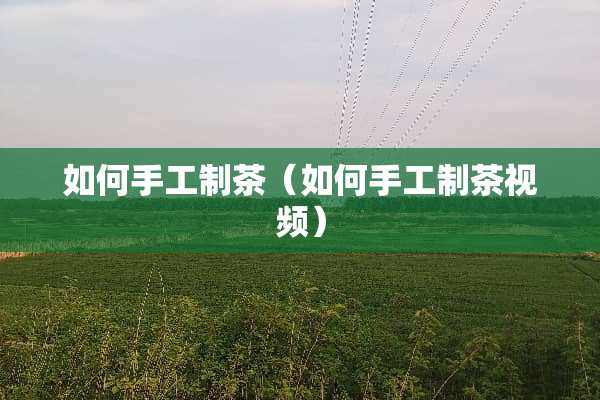 如何手工制茶（如何手工制茶视频）