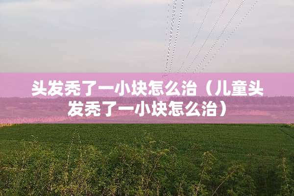 头发秃了一小块怎么治（儿童头发秃了一小块怎么治）