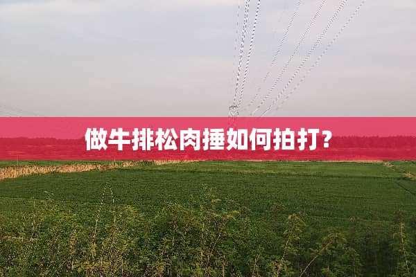 做牛排松肉捶如何拍打？
