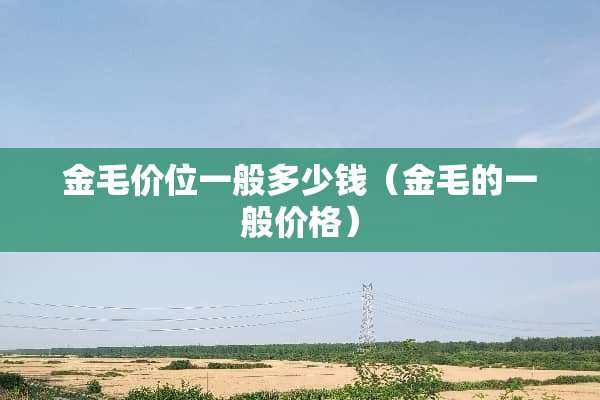 金毛价位一般多少钱（金毛的一般价格）