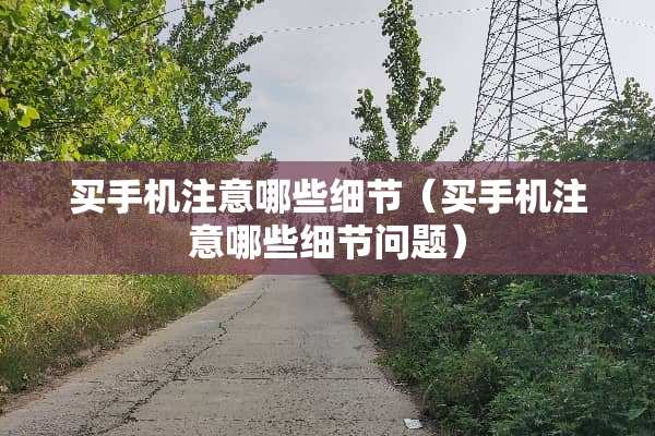 买手机注意哪些细节（买手机注意哪些细节问题）