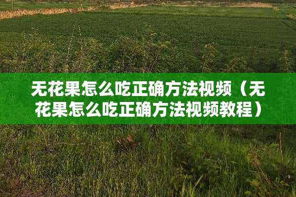无花果怎么吃正确方法视频（无花果怎么吃正确方法视频教程）