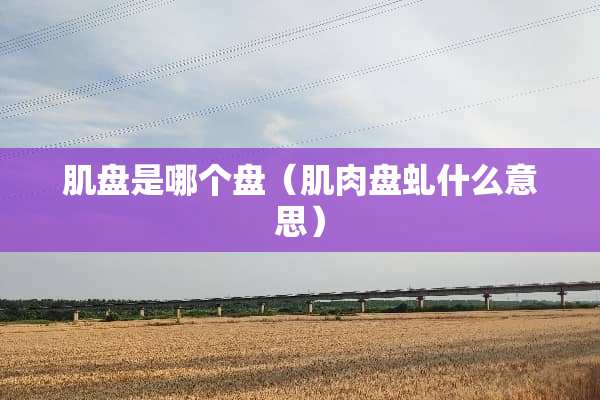 肌盘是哪个盘（肌肉盘虬什么意思）