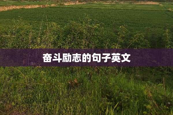 奋斗励志的句子英文