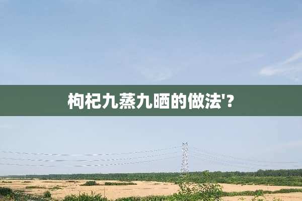 枸杞九蒸九晒的做法'？