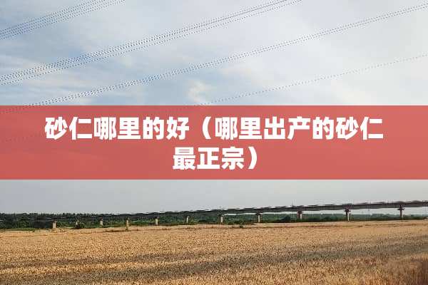 砂仁哪里的好（哪里出产的砂仁最正宗）