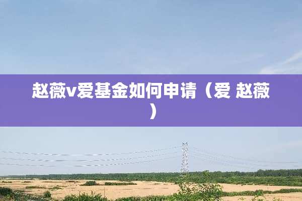 赵薇v爱基金如何申请（爱 赵薇）