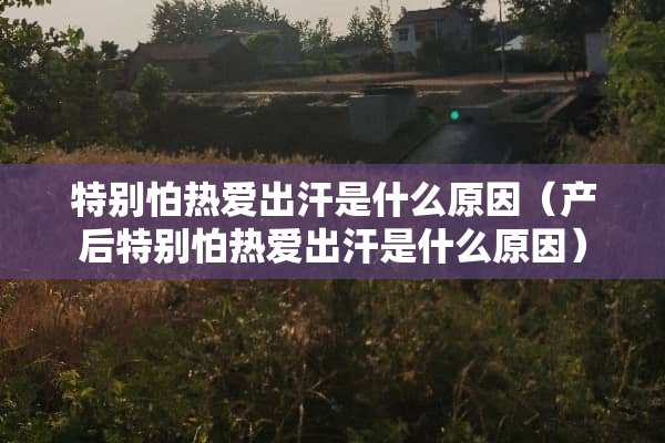 特别怕热爱出汗是什么原因（产后特别怕热爱出汗是什么原因）
