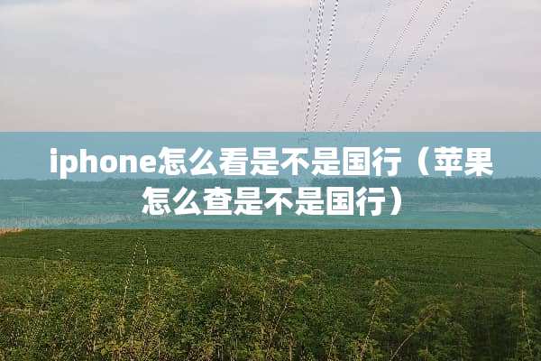 iphone怎么看是不是国行（苹果怎么查是不是国行）