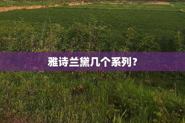 雅诗兰黛几个系列？