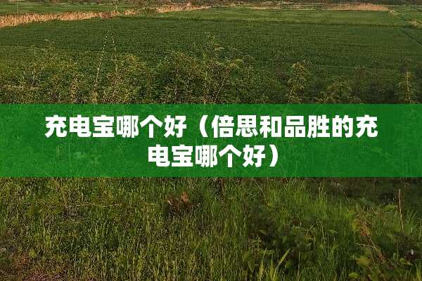 充电宝哪个好（倍思和品胜的充电宝哪个好）