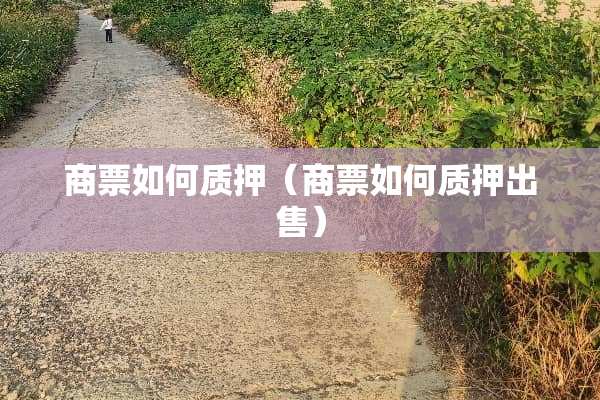 商票如何质押（商票如何质押出售）