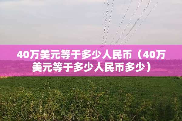40万美元等于多少人民币（40万美元等于多少人民币多少）