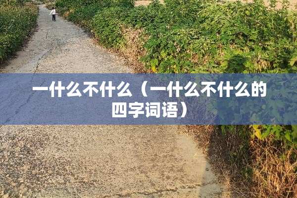 一什么不什么（一什么不什么的四字词语）