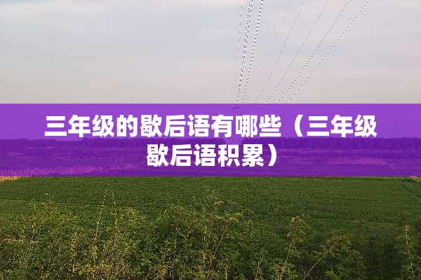 三年级的歇后语有哪些（三年级歇后语积累）