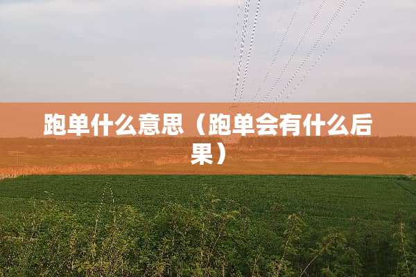 跑单什么意思（跑单会有什么后果）