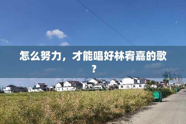 怎么努力，才能唱好林宥嘉的歌？